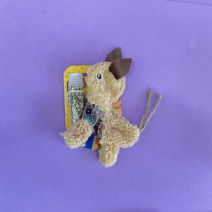 Brinquedo Coelho Dispenser Catnip